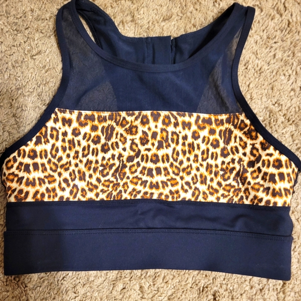 Zyia All Star Sports Bra